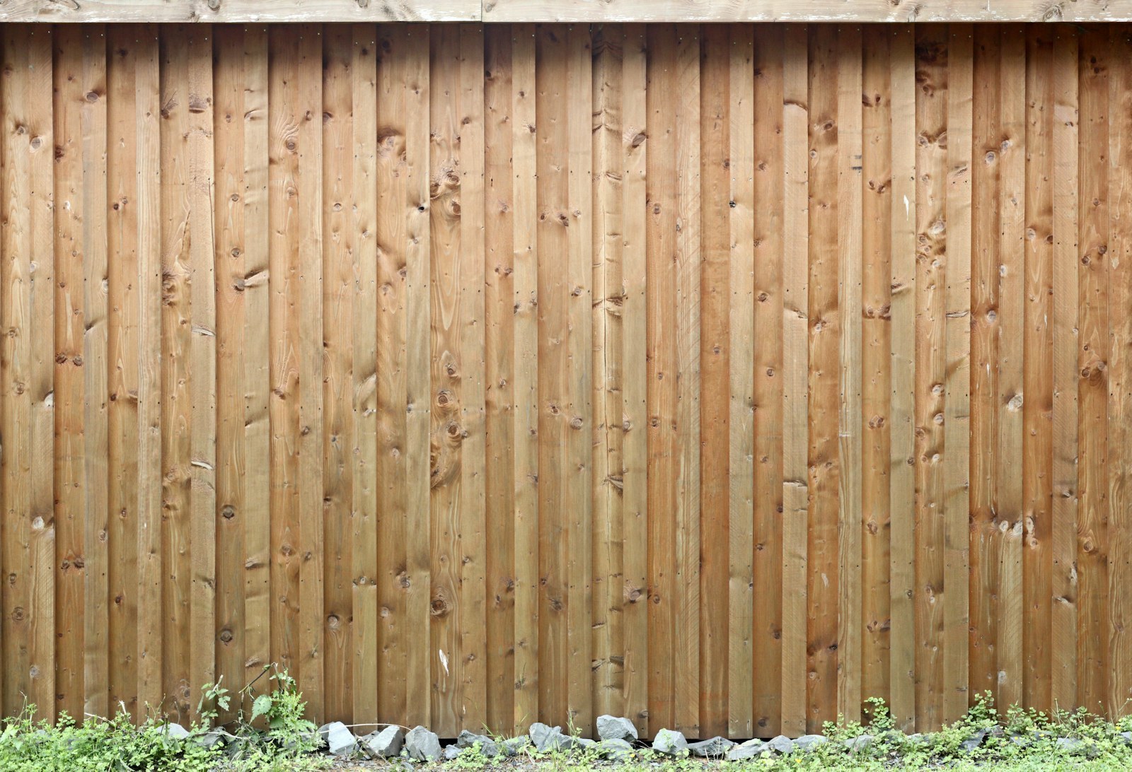 New timber fence behind fresh planting