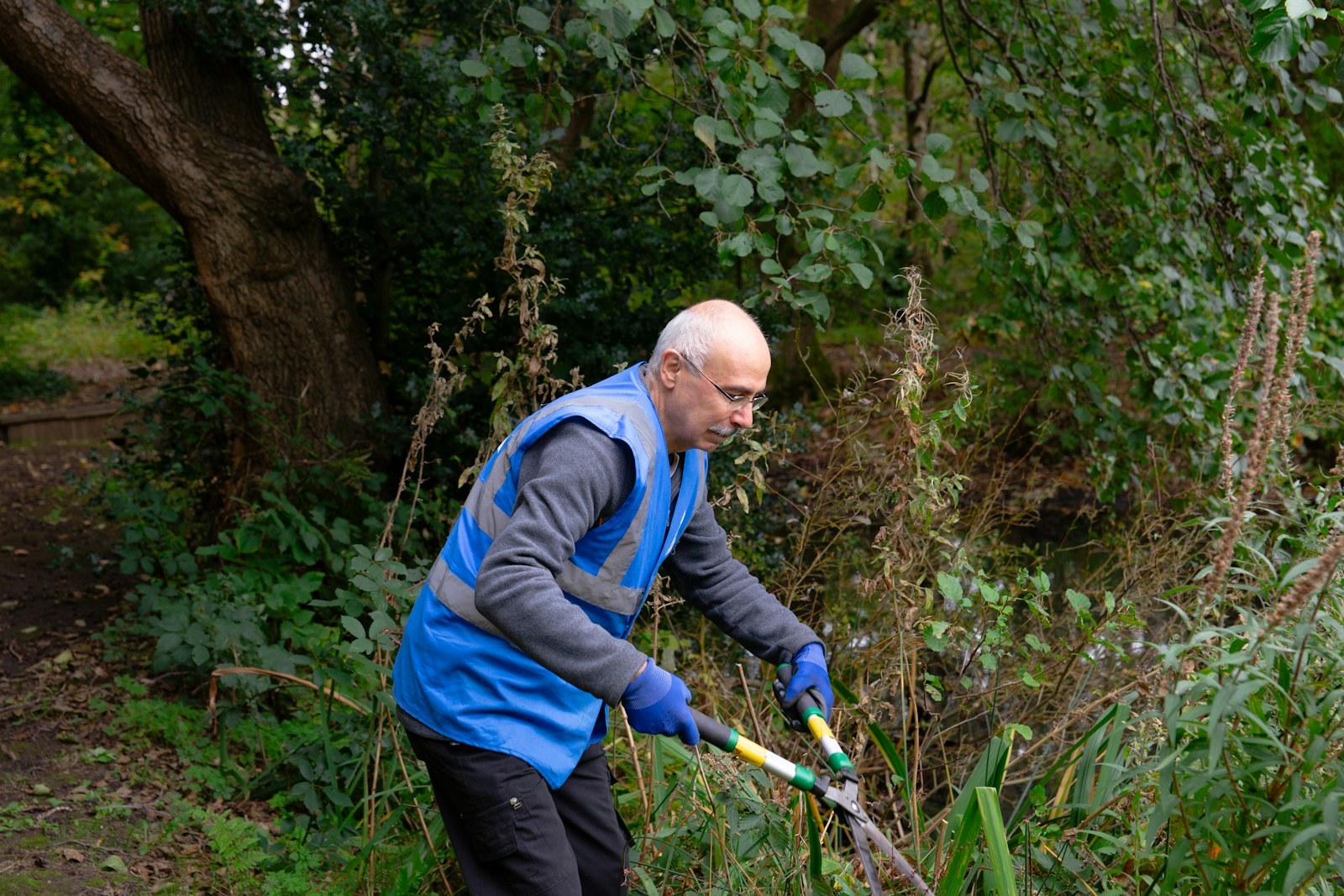 Hedge trimmer cutting a box hedge square