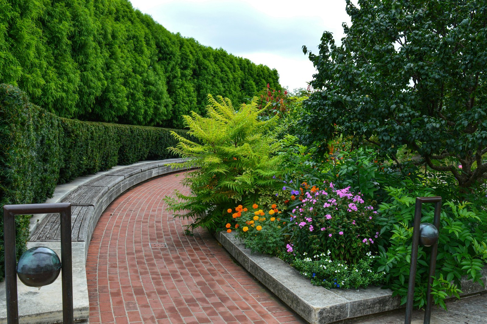 Garden with a curved gravel path, lawn, planted borders and a timber fence