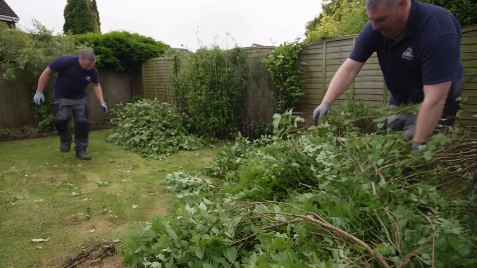 Gardeners clearing an overgrown back garden